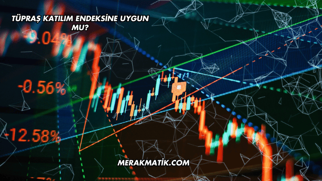 Tüpraş Katılım Endeksine Uygun mu?