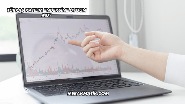 Tüpraş Katılım Endeksine Uygun mu?