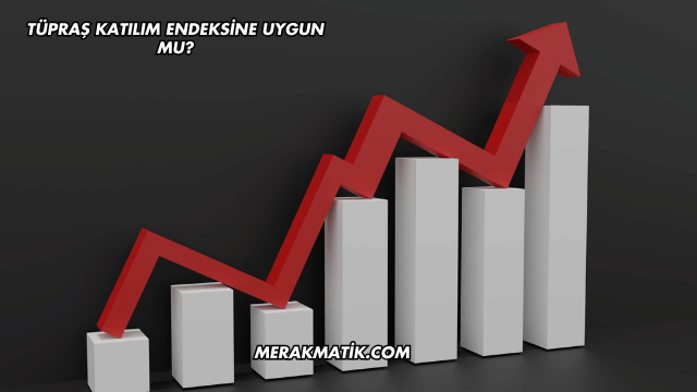 Tüpraş Katılım Endeksine Uygun mu?