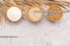 Un Fabrikası Açma Maliyeti 2025