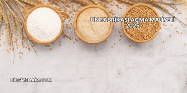 Un Fabrikası Açma Maliyeti 2025