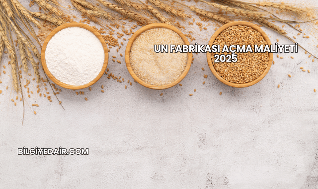 Un Fabrikası Açma Maliyeti 2025