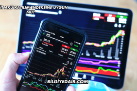 Yiğit Akü Katılım Endeksine Uygun mu?