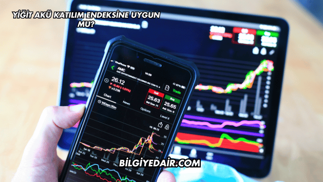 Yiğit Akü Katılım Endeksine Uygun mu?