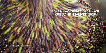 Zeytinyağı Sıkma Fabrikası Kurmanın Maliyeti 2025