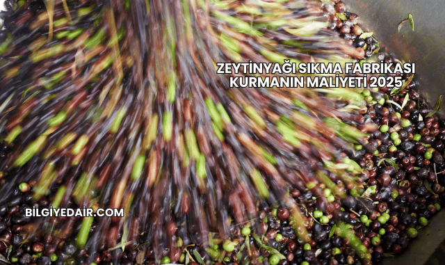 Zeytinyağı Sıkma Fabrikası Kurmanın Maliyeti 2025