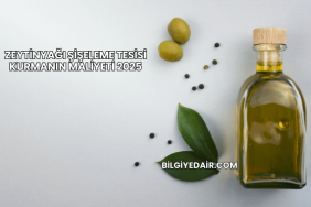 Zeytinyağı Şişeleme Tesisi Kurmanın Maliyeti 2025