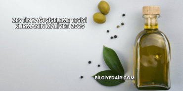 Zeytinyağı Şişeleme Tesisi Kurmanın Maliyeti 2025