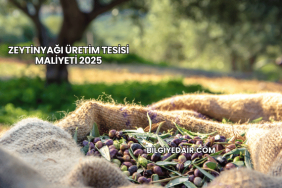 Zeytinyağı Üretim Tesisi Maliyeti 2025