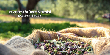 Zeytinyağı Üretim Tesisi Maliyeti 2025