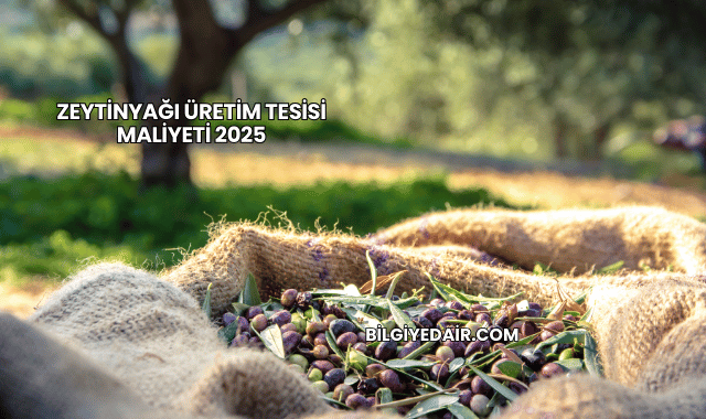 Zeytinyağı Üretim Tesisi Maliyeti 2025