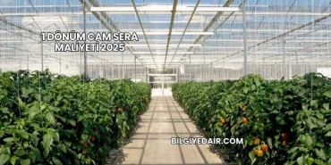1 Dönüm Cam Sera Maliyeti 2025