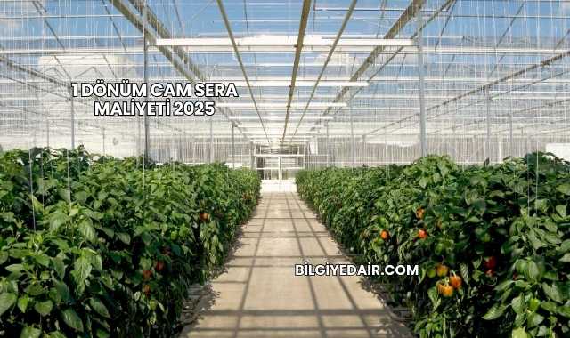 1 Dönüm Cam Sera Maliyeti 2025
