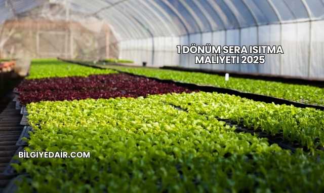 1 Dönüm Sera Isıtma Maliyeti 2025