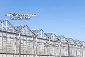 1 Dönüm Sera Isıtma Maliyeti 2025