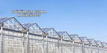 1 Dönüm Sera Isıtma Maliyeti 2025