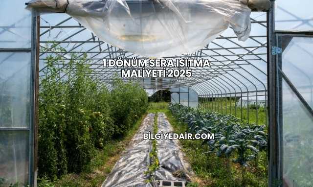 1 Dönüm Sera Isıtma Maliyeti 20251 Dönüm Sera Isıtma Maliyeti 2025
