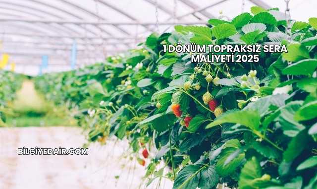 1 Dönüm Topraksız Sera Maliyeti 2025