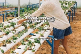1 Dönüm Topraksız Sera Maliyeti 2025
