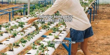 1 Dönüm Topraksız Sera Maliyeti 2025