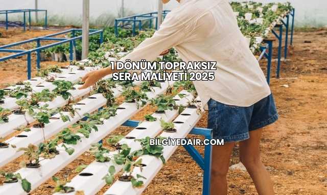 1 Dönüm Topraksız Sera Maliyeti 2025