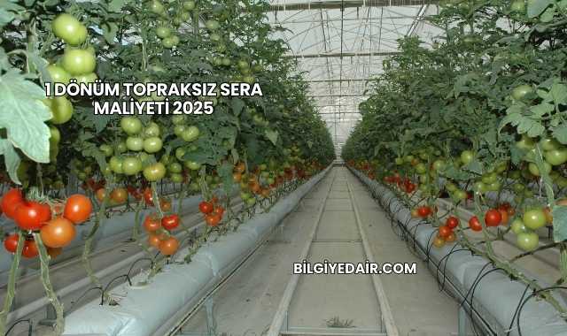 1 Dönüm Topraksız Sera Maliyeti 2025