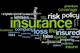 1 Kişinin Sigorta Maliyeti 2025