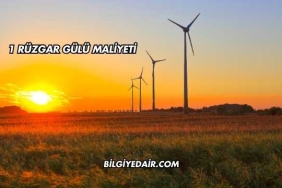 1 Rüzgar Gülü Maliyeti (2)