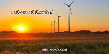 1 Rüzgar Gülü Maliyeti (2)