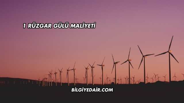 1 Rüzgar Gülü Maliyeti