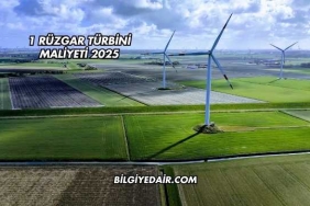 1 Rüzgar Türbini Maliyeti 2025