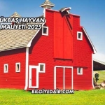 100 Büyükbaş Hayvan Çiftliği Maliyeti 2025