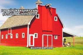 100 Büyükbaş Hayvan Çiftliği Maliyeti 2025