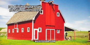 100 Büyükbaş Hayvan Çiftliği Maliyeti 2025