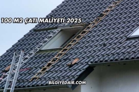100 M2 Çatı Maliyeti 2025