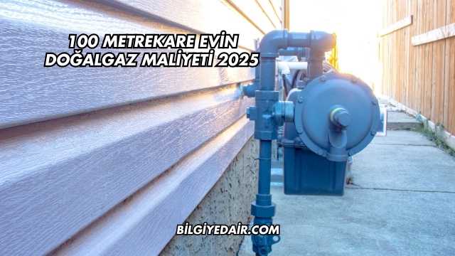 100 Metrekare Evin Doğalgaz Maliyeti 2025