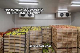 100 Tonluk Soğuk Hava Deposu Maliyeti 2025