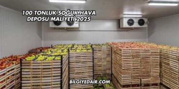 100 Tonluk Soğuk Hava Deposu Maliyeti 2025