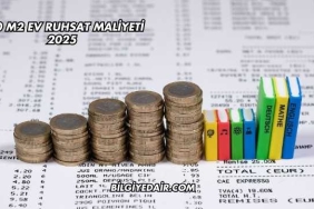 100 m2 Ev Ruhsat Maliyeti 2025