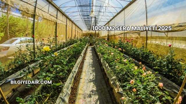 1000 m2 Sera Maliyeti 2025