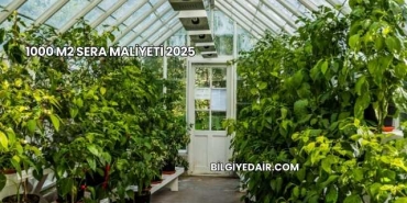 1000 m2 Sera Maliyeti 2025