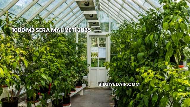 1000 m2 Sera Maliyeti 2025