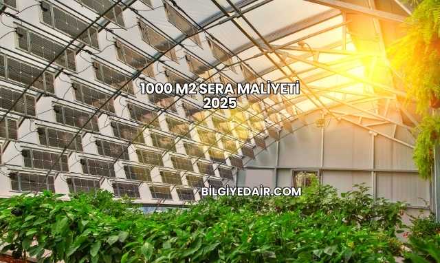 1000 m2 Sera Maliyeti 2025