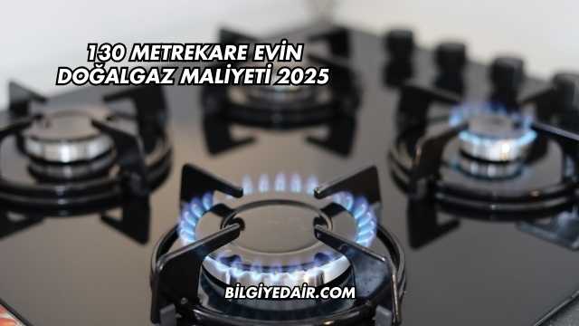 130 Metrekare Evin Doğalgaz Maliyeti 2025