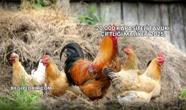 20.000 Kapasiteli Tavuk Çiftliği Maliyeti 2025