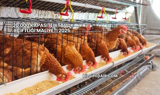 20.000 Kapasiteli Tavuk Çiftliği Maliyeti 2025