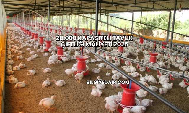 20.000 Kapasiteli Tavuk Çiftliği Maliyeti 2025