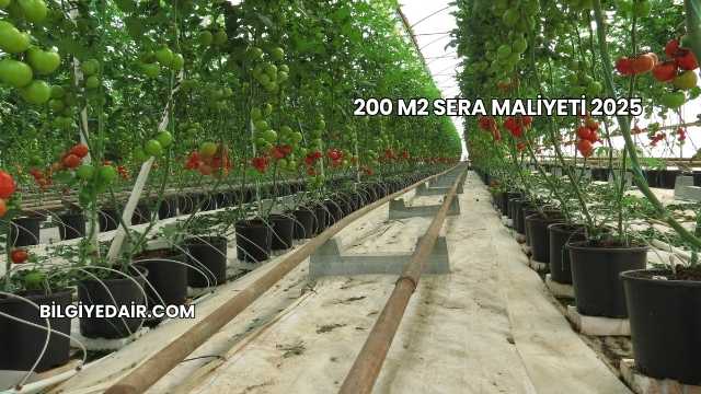 200 M2 Sera Maliyeti 2025
