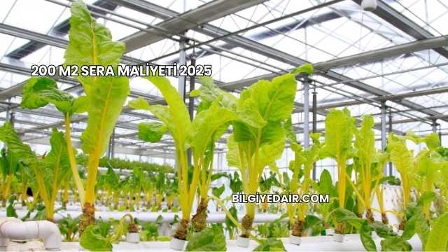200 M2 Sera Maliyeti 2025