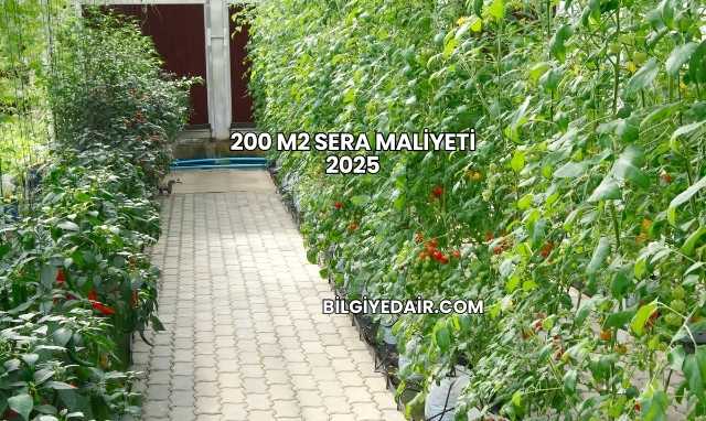 200 M2 Sera Maliyeti 2025
